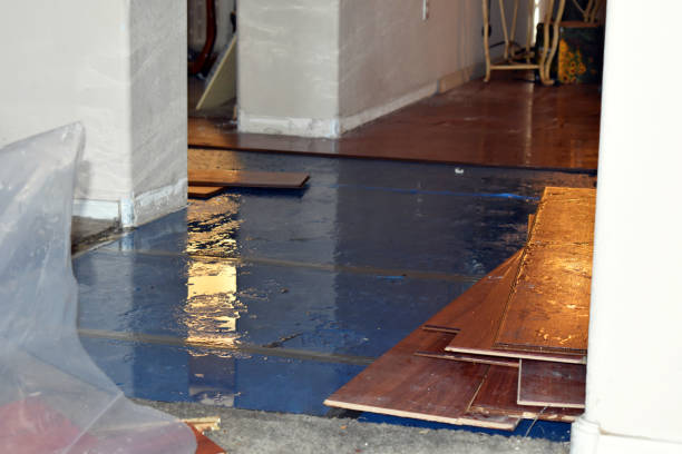 Professional Water Damage Restoration technician working in Hull, MA